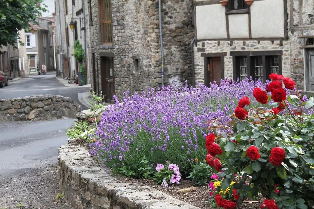 Blesle Hotel La Bougnate